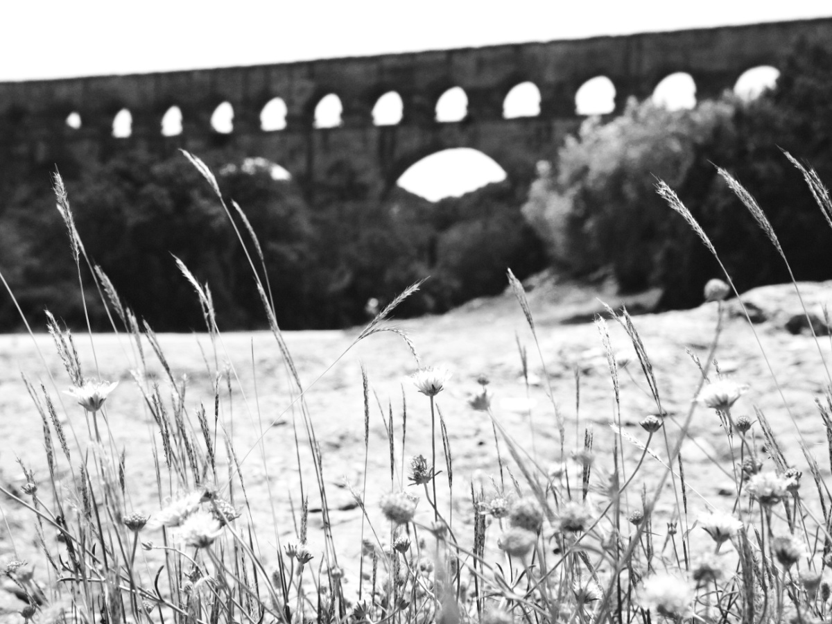 pontdugard01